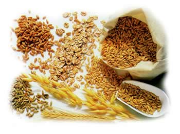 altri-cereali